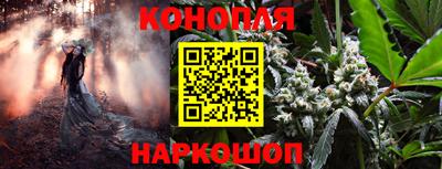 крисы Белорецк