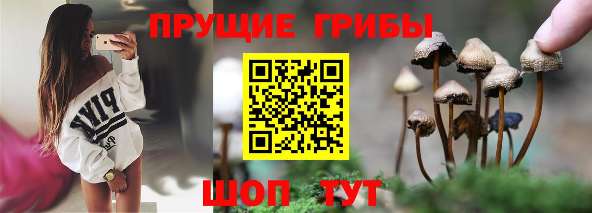 Ивантеевка  Галлюциногенные грибы GOLDEN TEACHER  Вход с VPN 